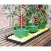 Plant- En Gietpot Groen - Set Van 3 Stuks -Planten Winkel plant en gietpot 1484054799 1 600