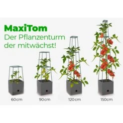 Plantentoren Maxitom Met Waterreservoir - Antraciet -Planten Winkel plantentoren maxitom antraciet 1677571236 4 600