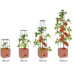 Plantentoren Maxitom Met Waterreservoir - Terracotta -Planten Winkel plantentoren maxitom terracotta 1680165024 1 600