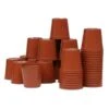 Kweekpotjes Rond Kunststof - 6 Cm - Set Van 40 Stuks -Planten Winkel plastic potjes 6 cm 1484055450 1 600