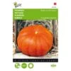 Pompoen Rode Van Etampes - Cucurbita Pepo -Planten Winkel pompoen rode van etampes cucurbita pepo 1646840317 139 600