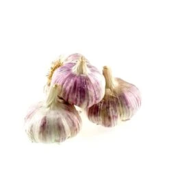 Pootgoed Knoflook Cledor 45+ - 500 G