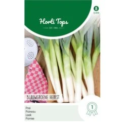 Prei Blauwgroene Herfst Ideal - Allium Porrum