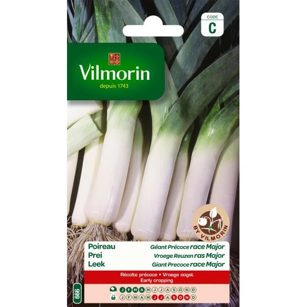 Prei Vroege Reuzen Ras Major 3 Prei Vroege Reuzen Ras Major