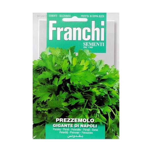 Prezzemolo Gigante Di Napoli - Peterselie Grootbladig 3 Prezzemolo Gigante Di Napoli - Peterselie Grootbladig