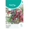 Reukerwt Royal Family Mix - Lathyrus Odoratus -Planten Winkel reukerwt royal family mix lathyrus odoratus 1646840328 385 600