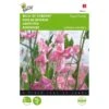 Reukerwt Royal Family Roze - Lathyrus Odoratus -Planten Winkel reukerwt royal family roze lathyrus odoratus 1646840329 389 600