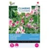 Reukerwt Unwins Striped - Lathyrus (Climbers) -Planten Winkel reukerwt unwins striped lathyrus climbers 1646840341 649 600