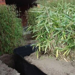 Rootblock Professionele Wortelwering 60 Cm Hoog - / Strekkende Meter -Planten Winkel rootblock professionele wortelwering 1552733360 3 600