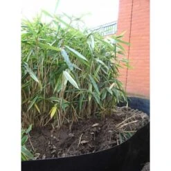 Rootblock Professionele Wortelwering 60 Cm Hoog - / Strekkende Meter -Planten Winkel rootblock professionele wortelwering 1552733360 5 600