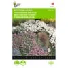 Rotstuinmengsel (meerjarig) 1 Rotstuinmengsel (meerjarig) -Planten Winkel rotstuinmengsel meerjarig 1646840337 563 600