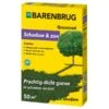 Barenbrug Shadow - Schaduw En Zon Graszaad 1 Kg -Planten Winkel schaduw en zon 1 kg graszaad 1653991053 1 600