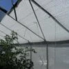 Schaduwdoek Wit 1,2 × 5 Meter 1 Schaduwdoek Wit 1,2 × 5 Meter -Planten Winkel schaduwdoek wit 5 x 12 m 1484053021 1 600