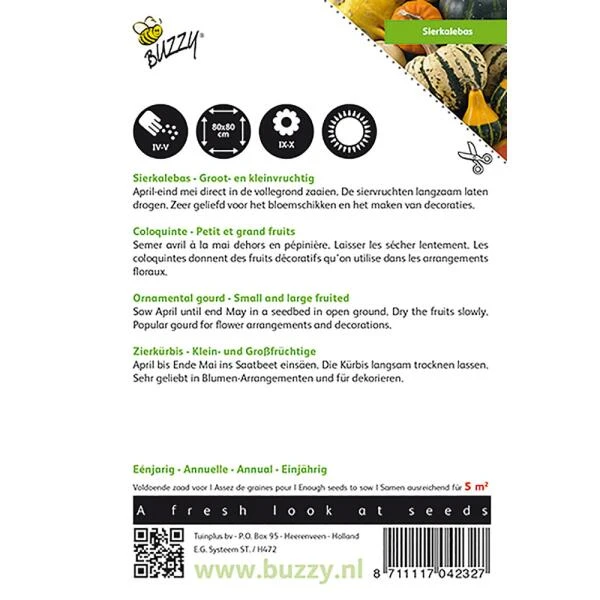 Sierpompoen - Cucurbita Pepo 4 Sierpompoen - Cucurbita Pepo - Afbeelding 2