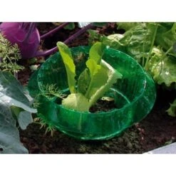 Slakken Beschermringen - Set Van 6 Stuks -Planten Winkel slakken beschermingsringen 1484053655 3 600