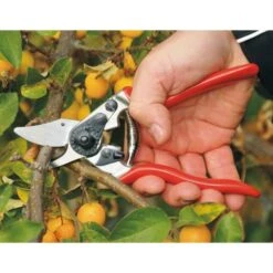 Snoeischaar Felco 6 Compact 6 Snoeischaar Felco 6 Compact -Planten Winkel snoeischaar felco 6 compact 1517236154 1 600