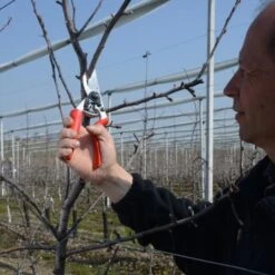 Snoeischaar Felco 7 Met Rolhandgreep 6 Snoeischaar Felco 7 Met Rolhandgreep -Planten Winkel snoeischaar felco 7 met rolhandgreep 1517234916 1 600