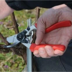 Snoeischaar Felco 7 Met Rolhandgreep 7 Snoeischaar Felco 7 Met Rolhandgreep -Planten Winkel snoeischaar felco 7 met rolhandgreep 1517234916 2 600