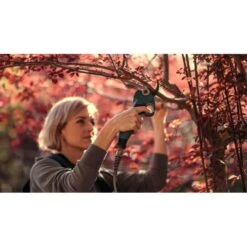 Snoeischaar ACCU Professionele Set 82 V CRAMER -Planten Winkel snoeischaar set 82 v cramer 1603107686 1 600