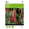 Spaanse Peper Cayenna - Capsicum Annuum -Planten Winkel spaanse peper cayenna capsicum annuum 1646840317 131 600