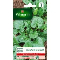 Spinazie Symphonie HF1