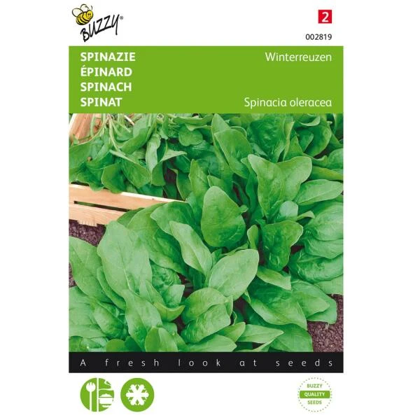Spinazie Winterreuzen 15 G - Spinacia Oleracea 3 Spinazie Winterreuzen 15 G - Spinacia Oleracea