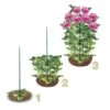Steunringen Voor Planten Ø 30 Cm - Kunststof - Set Van 2 Stuks 2 Steunringen Voor Planten Ø 30 Cm - Kunststof - Set Van 2 Stuks -Planten Winkel steunringen 1490175532 1 600