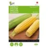 Suikermaïs Tasty Sweet F1 - Zea Mays -Planten Winkel suikermas tasty sweet f1 zea mays 1646840313 45 600