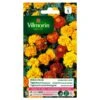Tagetes Dubbel Dwerg Gemengd - Tagetes Patula -Planten Winkel tagetes dubbel dwerg gemengd tagetes patula 1646839548 245 600
