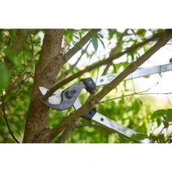 Takkenschaar Felco 211-60 - 60 Cm 9 Takkenschaar Felco 211-60 - 60 Cm -Planten Winkel takkenschaar felco 21160 1554364796 4 600