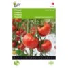 Tomaten St. Pierre - Lycopersicon Esculentum -Planten Winkel tomaten st pierre lycopersicon esculentum 1646840322 245 600