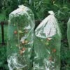 Tomatenhoezen 10 × 0,65 M -Planten Winkel tomatenhoezen 10 x 065 m 1484053065 1 600