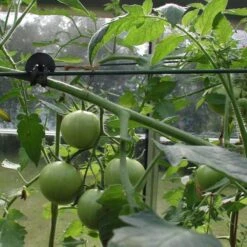 Tree-fix Boombinder 8 Cm - Set Van 50 Stuks -Planten Winkel treefix boombinder 8 cm 1547125995 3 600