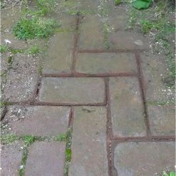 Tuinbezem - Borstel Golden Krav + Voegenkrabber 2 In 1 -Planten Winkel tuinbezem voegenkrabber 2 in 1 1492499904 1 600