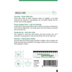 Tuinraap Platte Witte Mei - Brassica Rapa 5 Tuinraap Platte Witte Mei - Brassica Rapa -Planten Winkel tuinraap platte witte mei brassica rapa 1646840354 923 600
