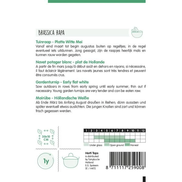 Tuinraap Platte Witte Mei - Brassica Rapa 4 Tuinraap Platte Witte Mei - Brassica Rapa - Afbeelding 2