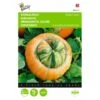 Turkse Muts - Cucurbita Maxima Turbaniformis -Planten Winkel turkse muts cucurbita maxima turbaniformis 1646840326 341 600