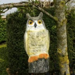 Uil Front - Vogelverschrikker -Planten Winkel uil front vogelverschrikker 1523282297 2 600