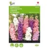 Valse Ridderspoor - Delphinium Ajacis 2 Valse Ridderspoor - Delphinium Ajacis -Planten Winkel valse ridderspoor delphinium ajacis 1646840326 343 600
