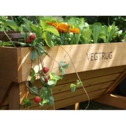 Vegtrug Verhoogde Kweektafel - 1 × 0,8 × 0,8 M -Planten Winkel vegtrug 1 m 1484054491 4 600