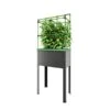 Verhoogd Kweekbak City Jungle Heidelberg Met Klimframe -Planten Winkel verhoogd plantenbed city jungle heidelberg 1677506551 1 600