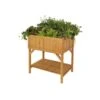 Verhoogde Kweektafel Vegtrug - Naturel -Planten Winkel verhoogde kweektafel vegtrug 1625036381 1 600