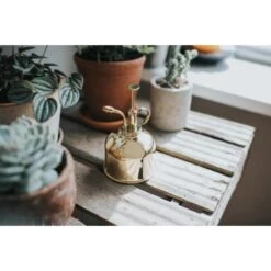 Vernevelaar Haws - Goudkleurig -Planten Winkel vernevelaar haws goudkleurig 1653645312 1 600