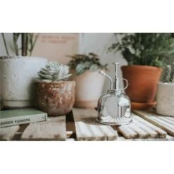 Vernevelaar Haws - Zilverkleurig -Planten Winkel vernevelaar haws zilverkleurig 1653645500 1 600