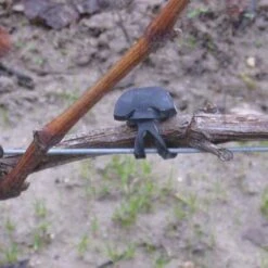 Vigne-fix 7 Cm Plantenbinder - 500 G 6 Vigne-fix 7 Cm Plantenbinder - 500 G -Planten Winkel vignefix 7 cm plantenbinder 1547123375 1 600