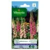 Vingerhoedskruid Digitalis Excelsior Gemengd - Digitalis Purpurea -Planten Winkel vingerhoedskruid digitalis excelsior gemengd digitalis purpurea 1646839548 243 600