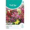 Vlasleeuwenbekje Fairy Bouquet - Linaria Maroccana -Planten Winkel vlasleeuwenbekje fairy bouquet linaria maroccana 1646840362 1108 600