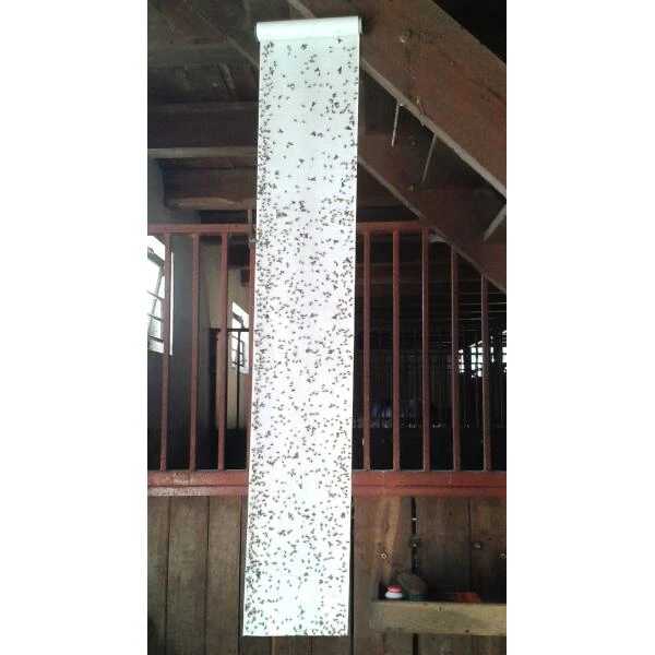 Vliegen Vangrol 1000 × 25 Cm 3 Vliegen Vangrol 1000 × 25 Cm