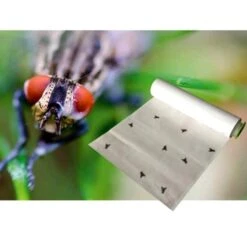 Vliegen Vangrol 1000 × 25 Cm 9 Vliegen Vangrol 1000 × 25 Cm -Planten Winkel vliegen vangrol 10 m 1498819201 1 600