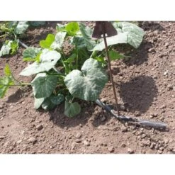 Vloeidarm Rol 250 Meter 12 Vloeidarm Rol 250 Meter -Planten Winkel vloeidarm rol 250 meter 1532606530 2 600